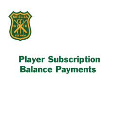 Player Subscription - Balance of Payments